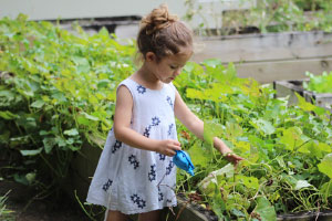 How to create a sensory garden at school